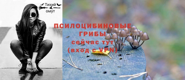 MDMA Каменногорск