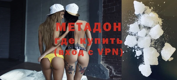 прущие грибы Каменка