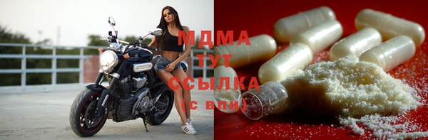 прущие грибы Каменка