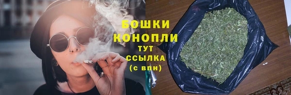 прущие грибы Каменка