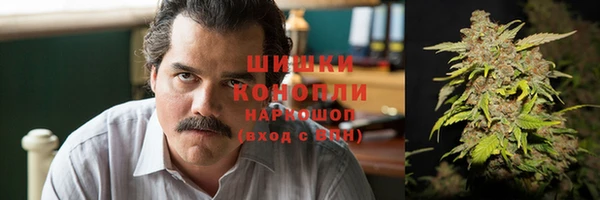 прущие грибы Каменка