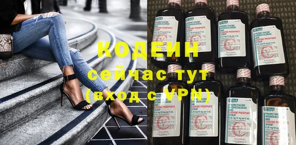 прущие грибы Каменка