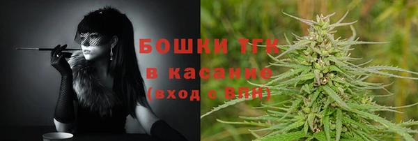 прущие грибы Каменка