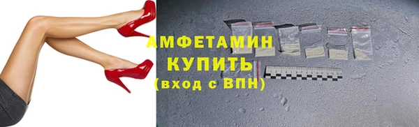 прущие грибы Каменка