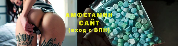 прущие грибы Каменка