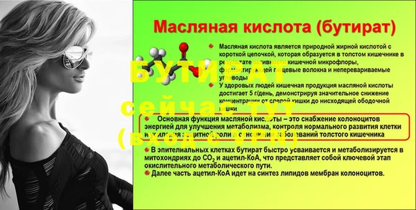 прущие грибы Каменка