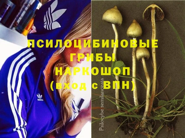 меф Каменск-Шахтинский