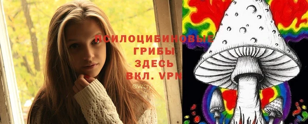 меф Каменск-Шахтинский