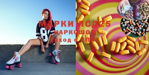 прущие грибы Каменка