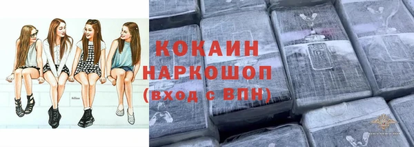 прущие грибы Каменка