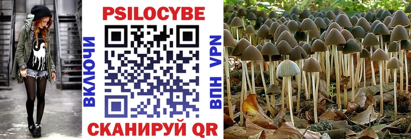 Купить где  Батайск  Псилоцибиновые грибы мицелий 
